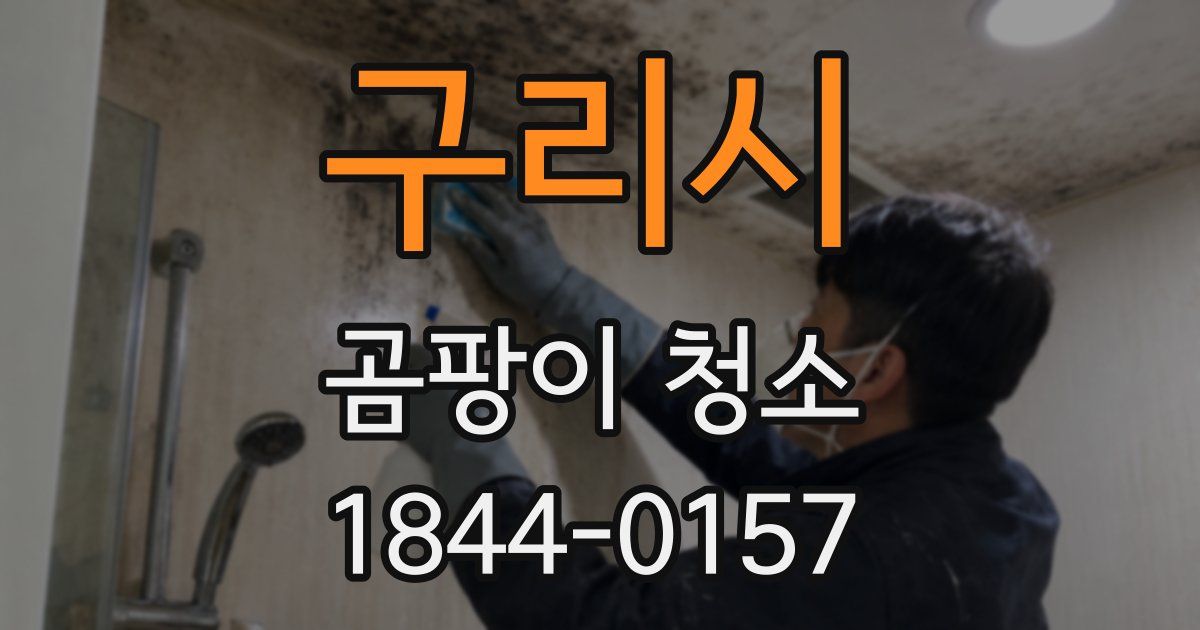 구리시 곰팡이 청소