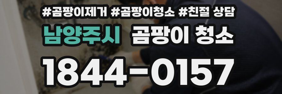 남양주시 곰팡이 청소