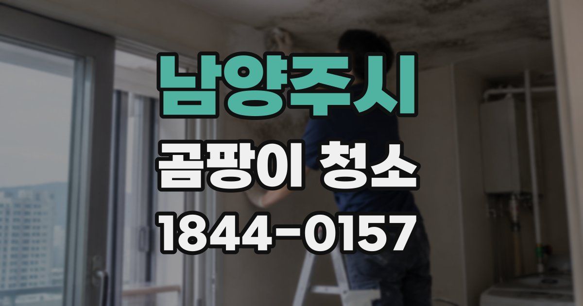 남양주시 곰팡이 청소
