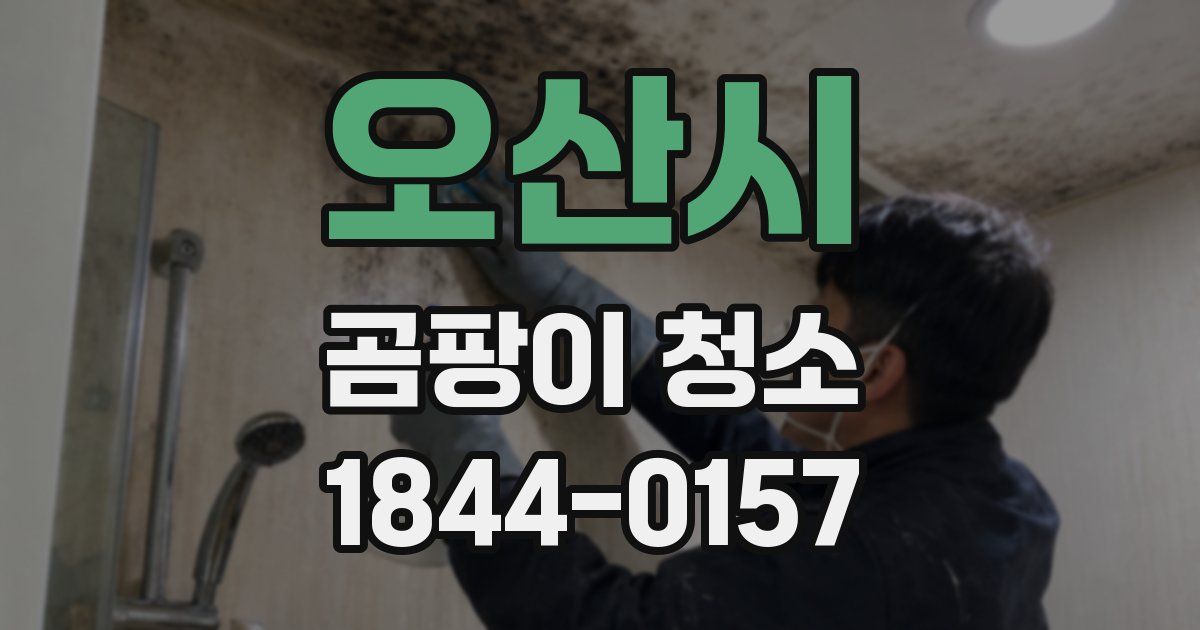 오산시 곰팡이 청소