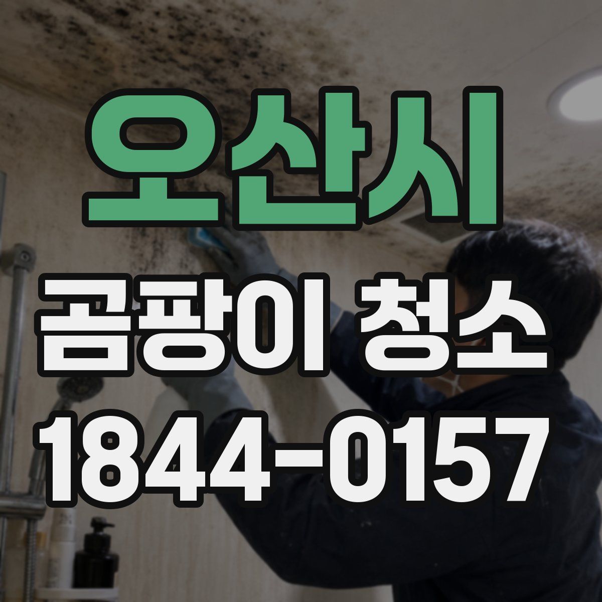 오산시 곰팡이 청소