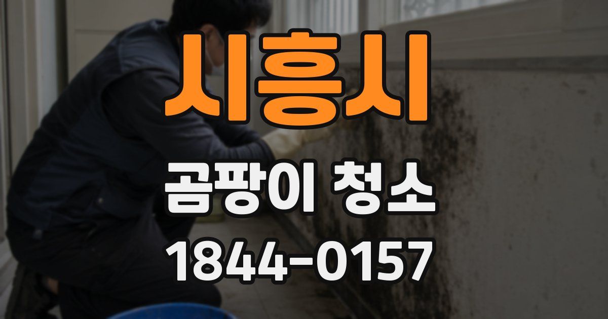 시흥시 곰팡이 청소