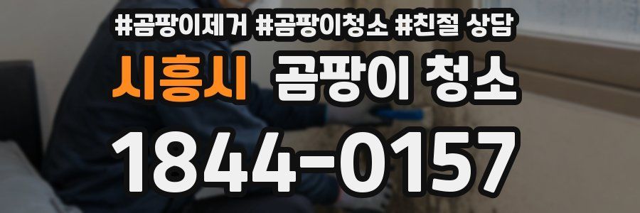 시흥시 곰팡이 청소