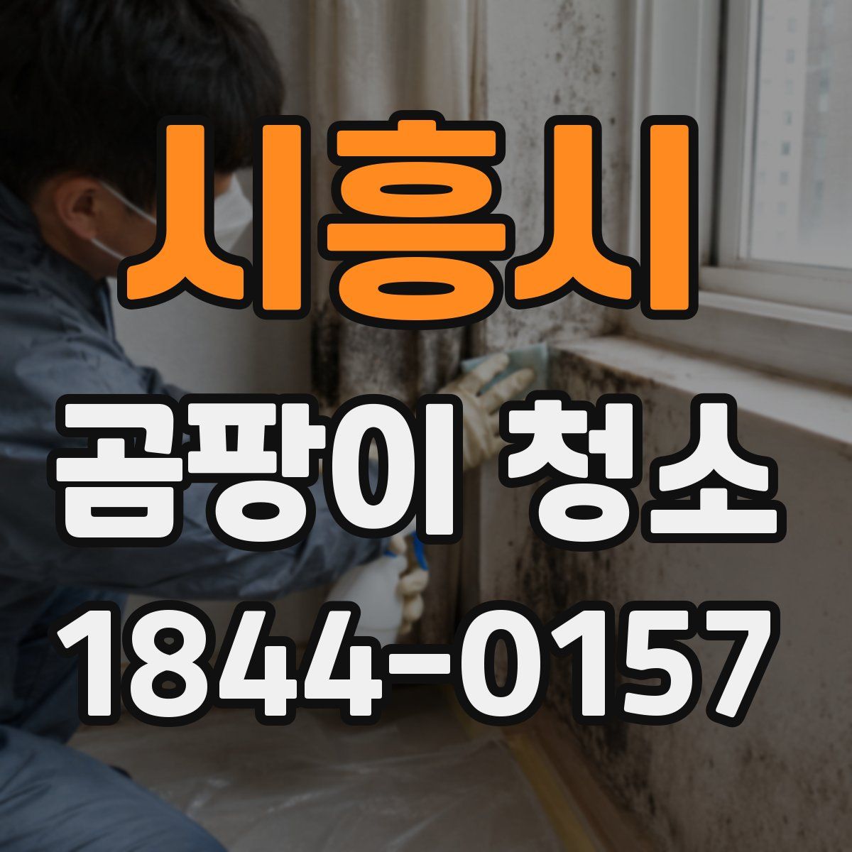시흥시 곰팡이 청소