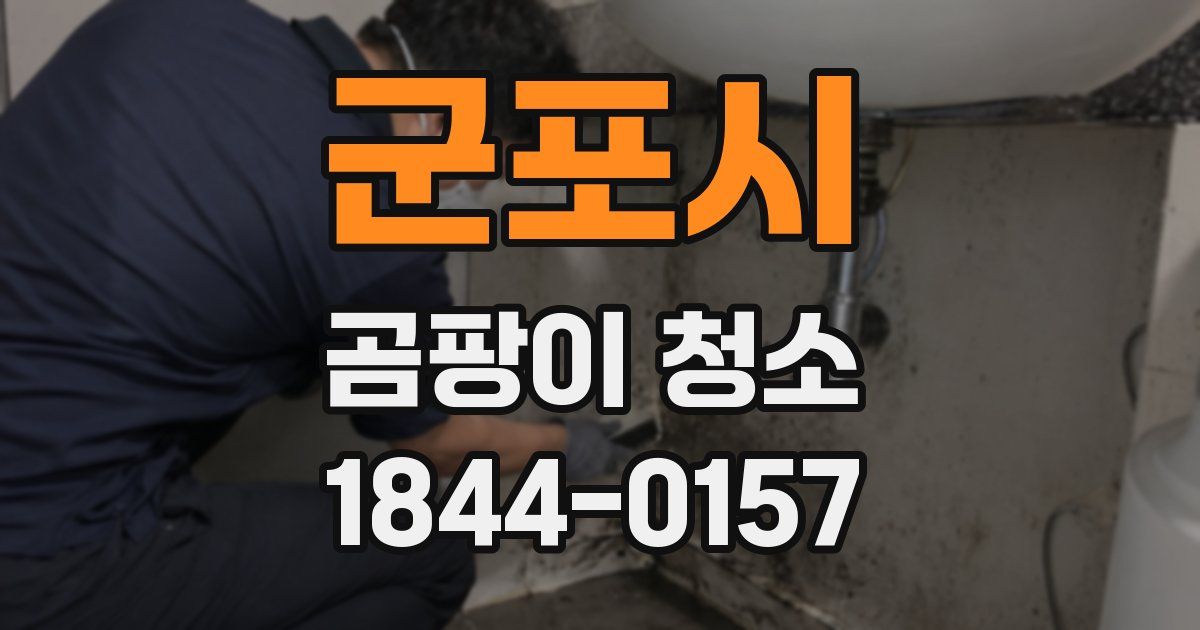 군포시 곰팡이 청소