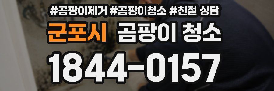 군포시 곰팡이 청소