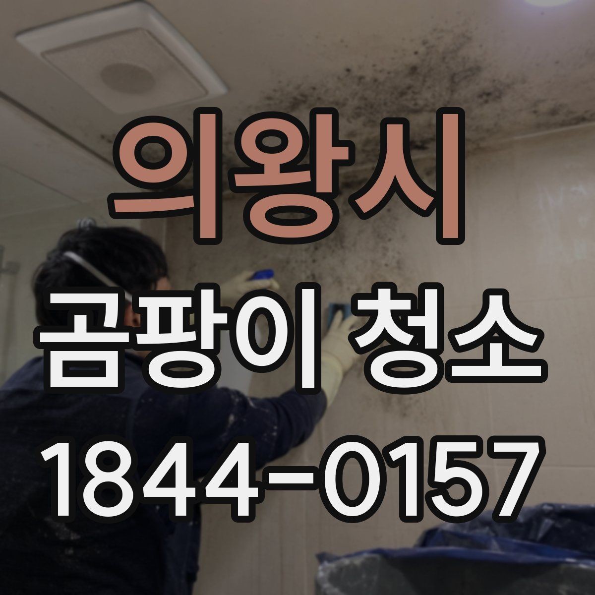 의왕시 곰팡이 청소 전에 집주인이 확인할 내용