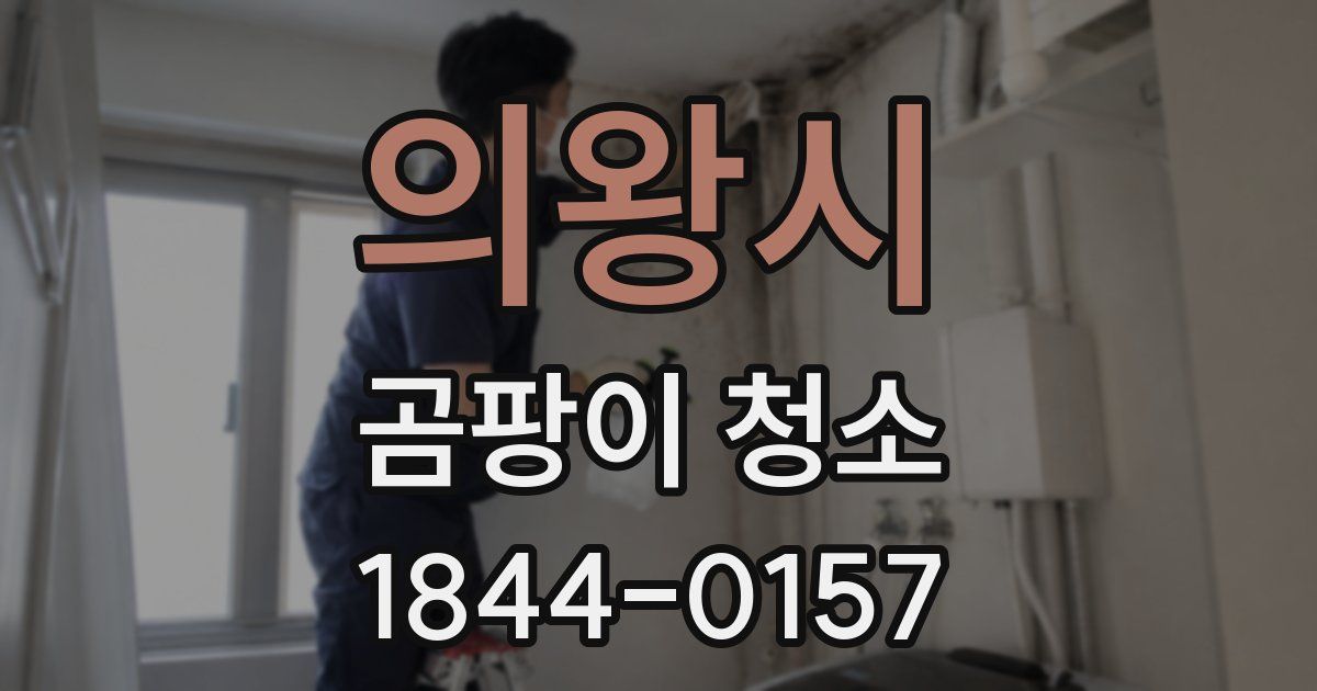 의왕시 곰팡이 청소