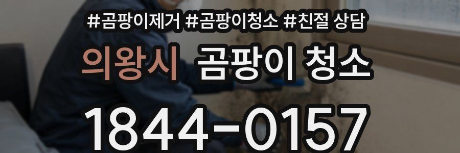 의왕시 곰팡이 청소