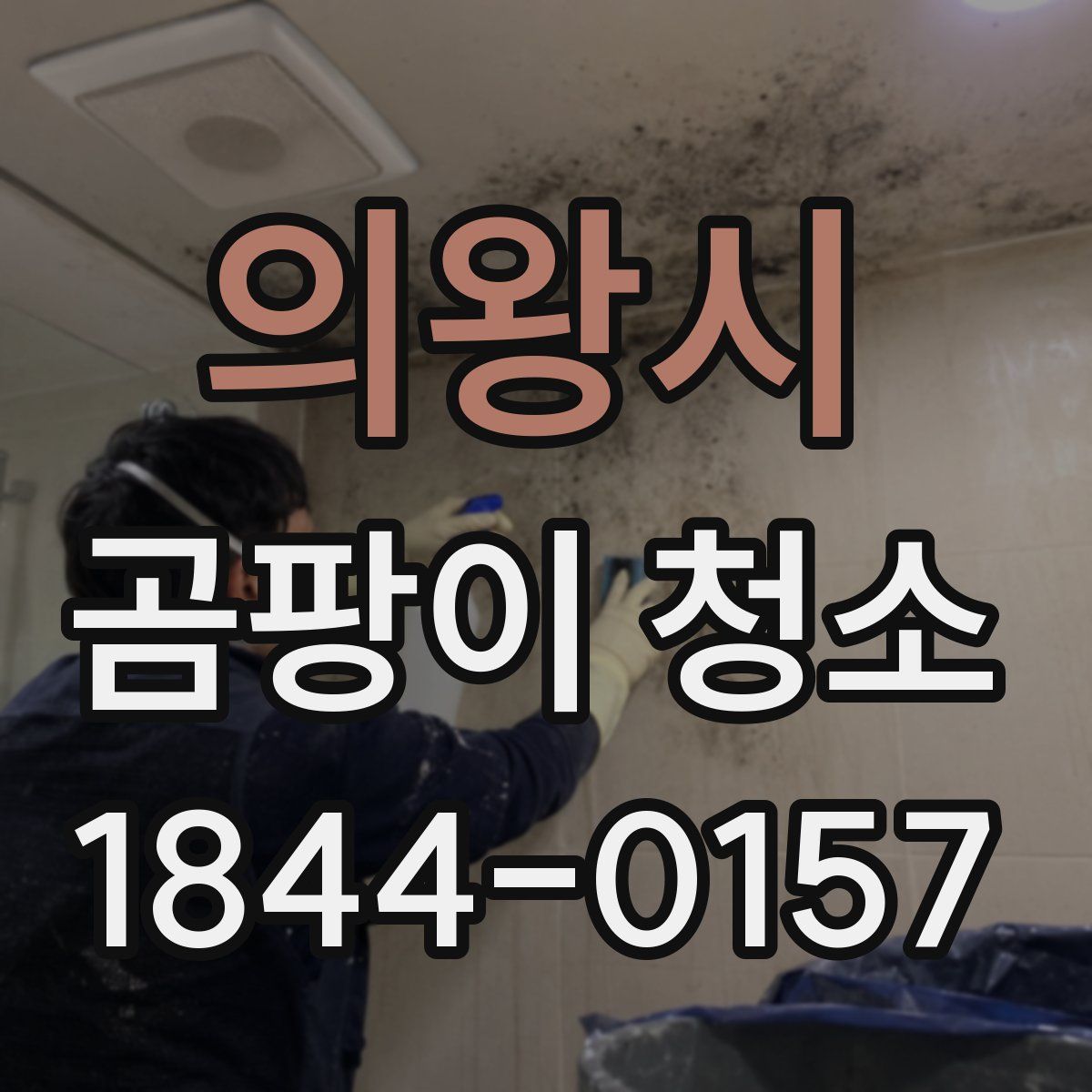 의왕시 곰팡이 청소