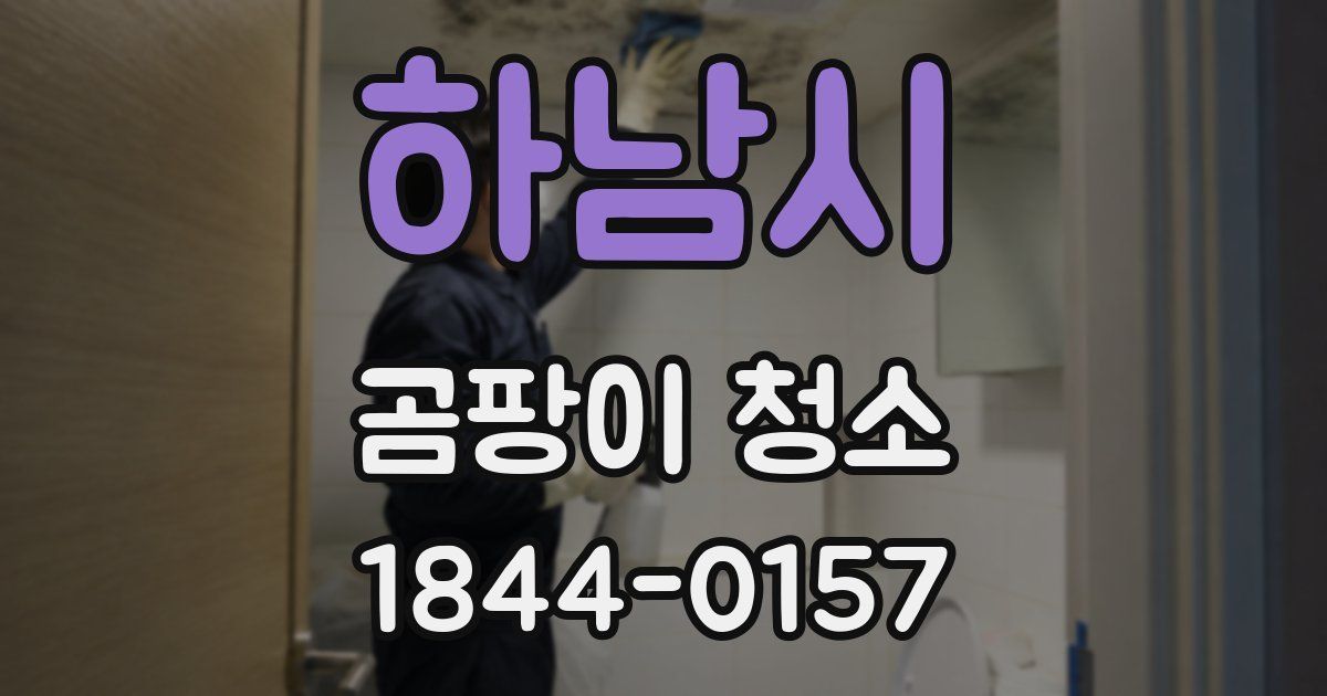 하남시 곰팡이 청소