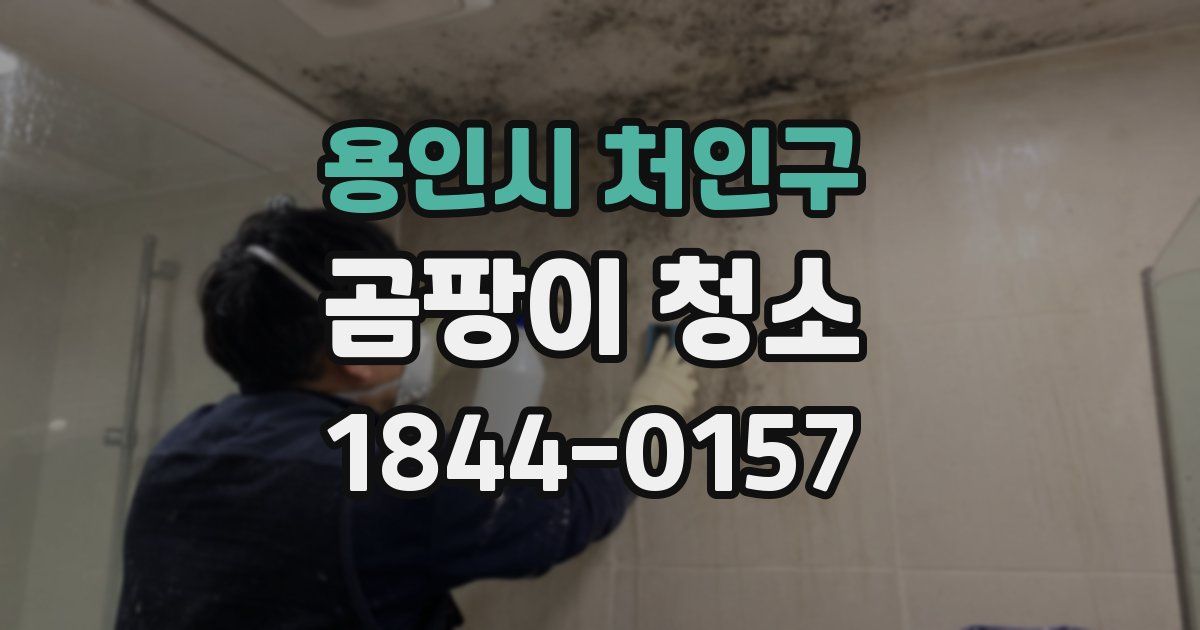용인시 처인구 곰팡이 청소
