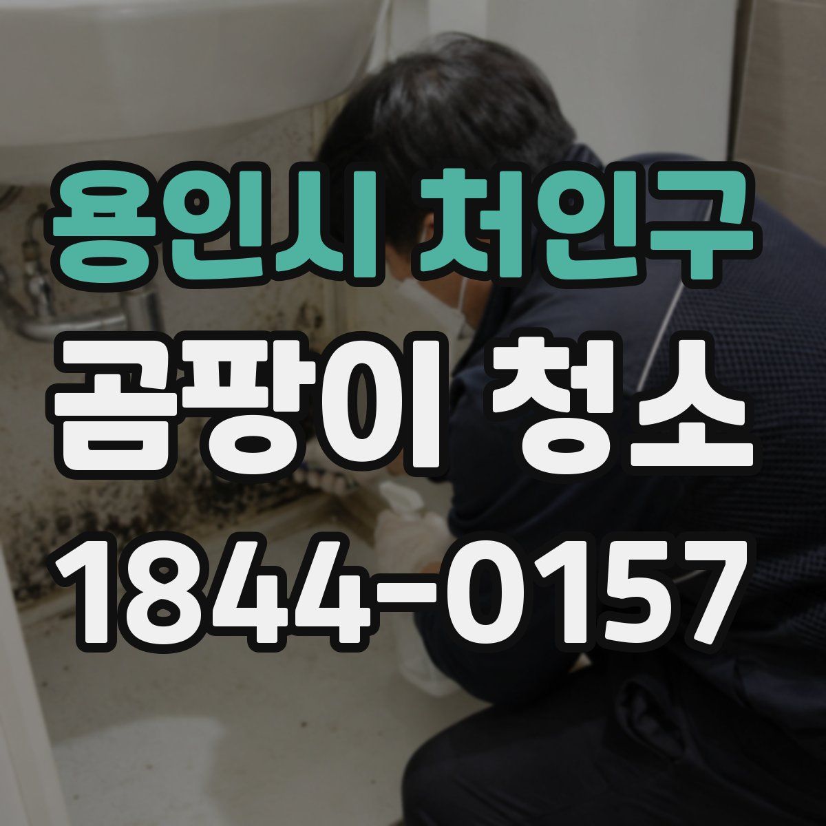 용인시 처인구 곰팡이 청소