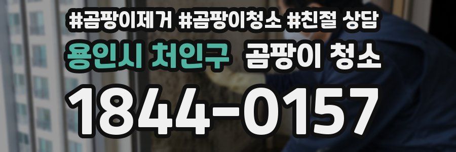용인시 처인구 곰팡이 청소