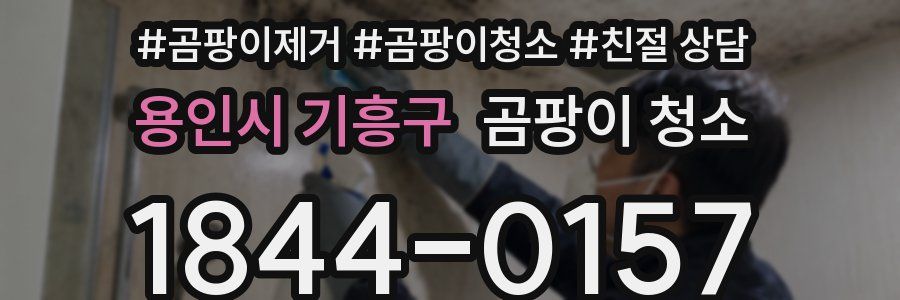 용인시 기흥구 곰팡이 청소