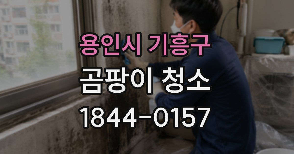 용인시 기흥구 곰팡이 청소