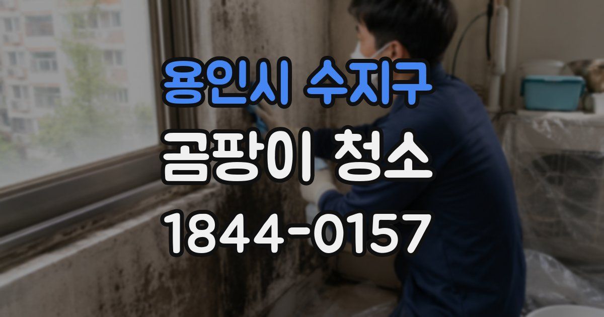용인시 수지구 곰팡이 청소