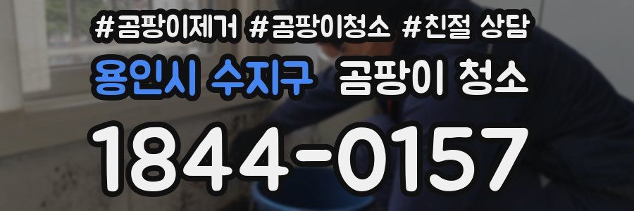 용인시 수지구 곰팡이 청소