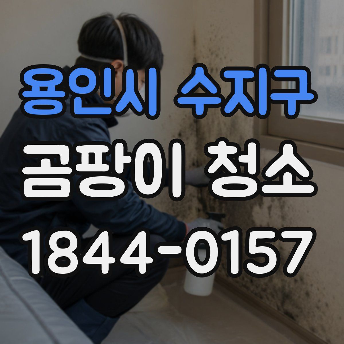 용인시 수지구 곰팡이 청소