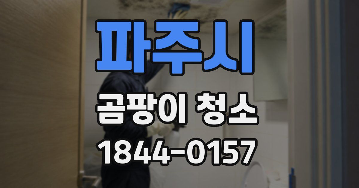 파주시 곰팡이 청소