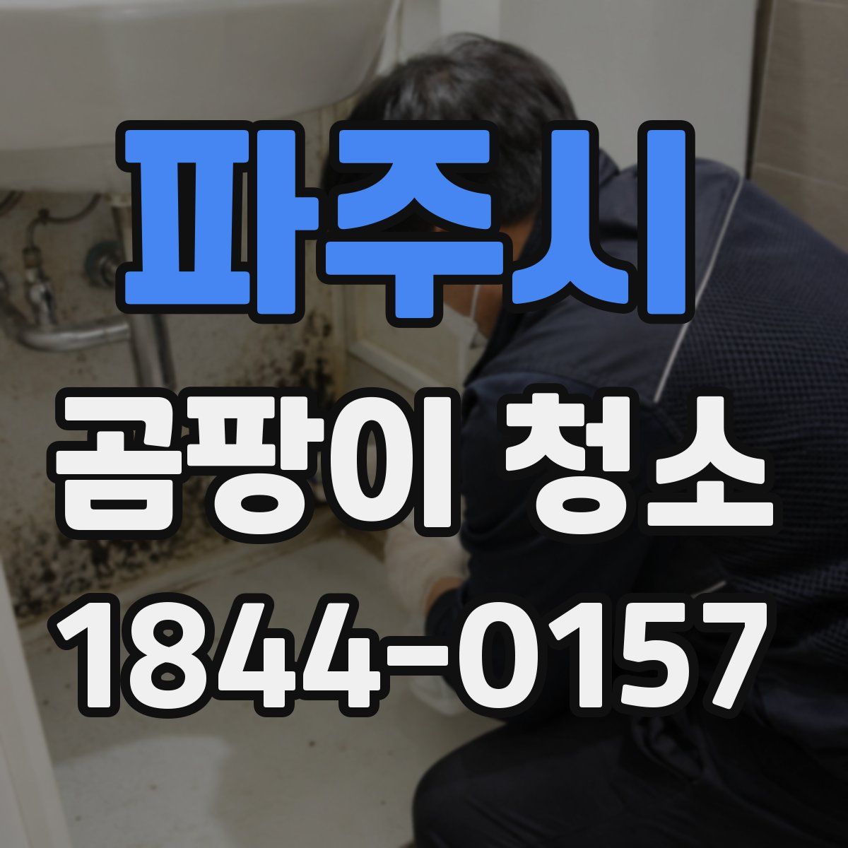 파주시 곰팡이 청소