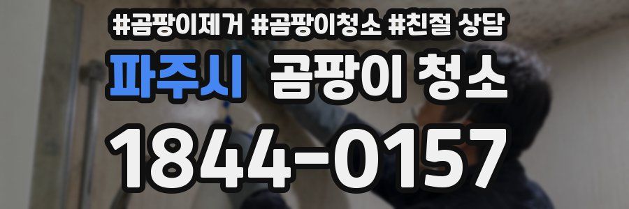 파주시 곰팡이 청소