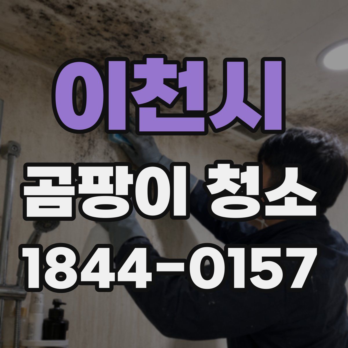 이천시 곰팡이 청소
