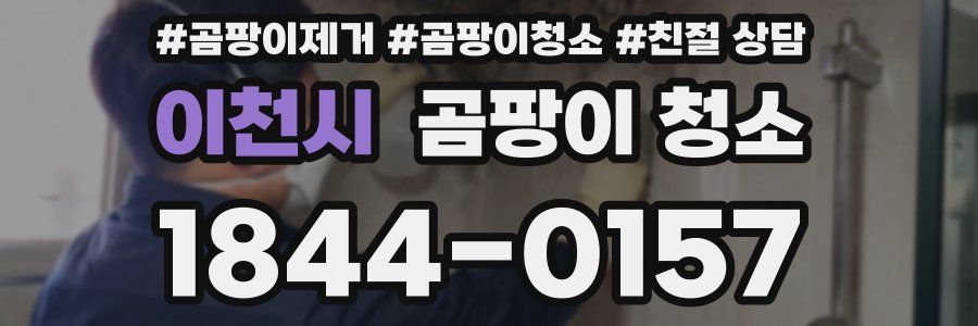 이천시 곰팡이 청소