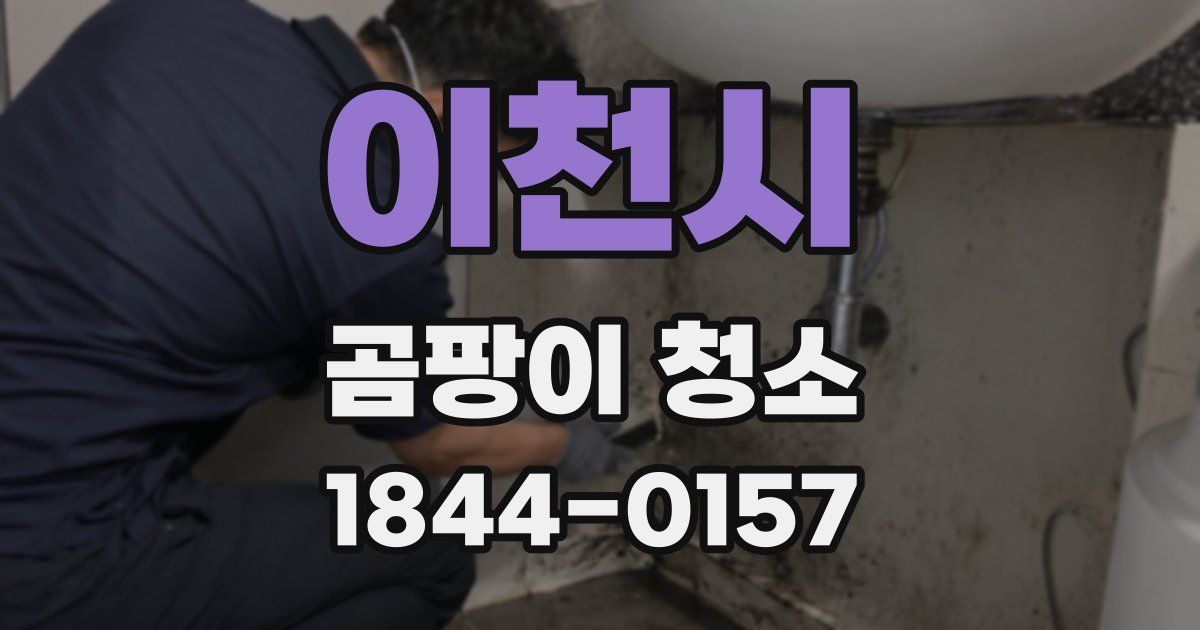 이천시 곰팡이 청소