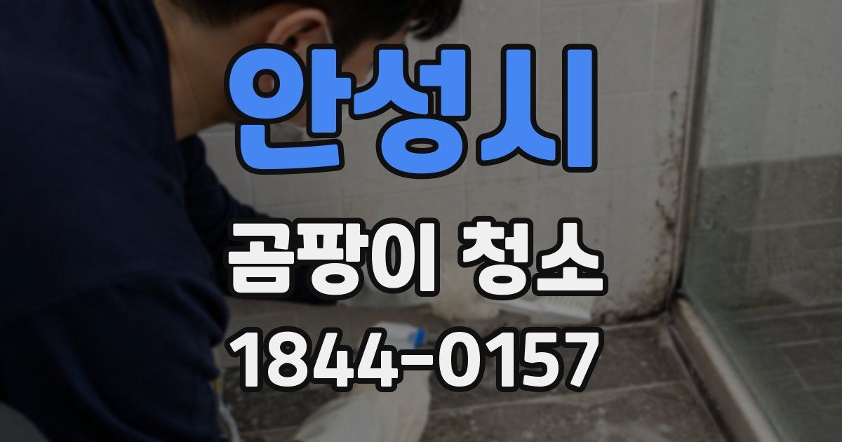 안성시 곰팡이 청소