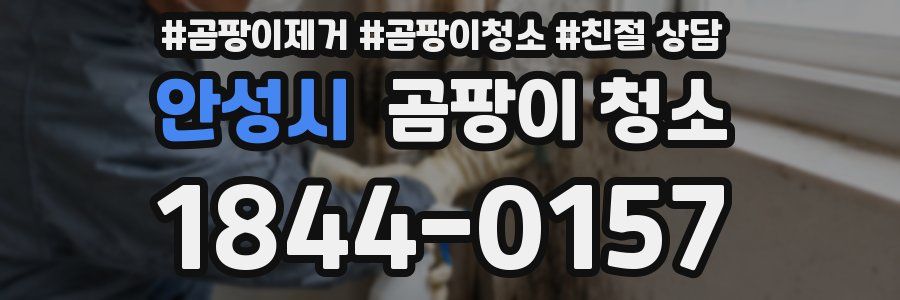 안성시 곰팡이 청소