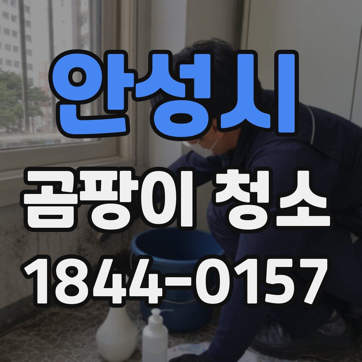 안성시 곰팡이 청소