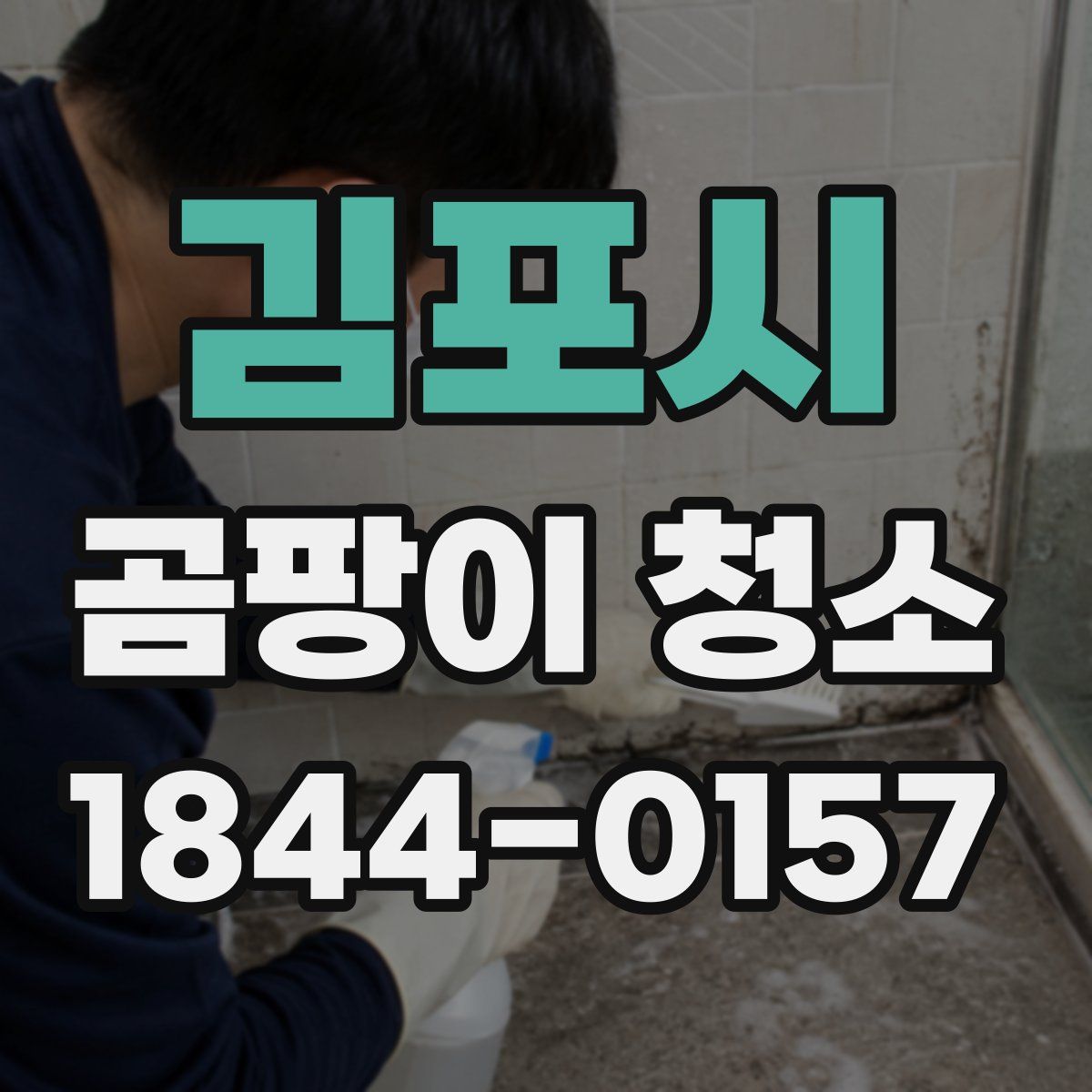 김포시 곰팡이 청소