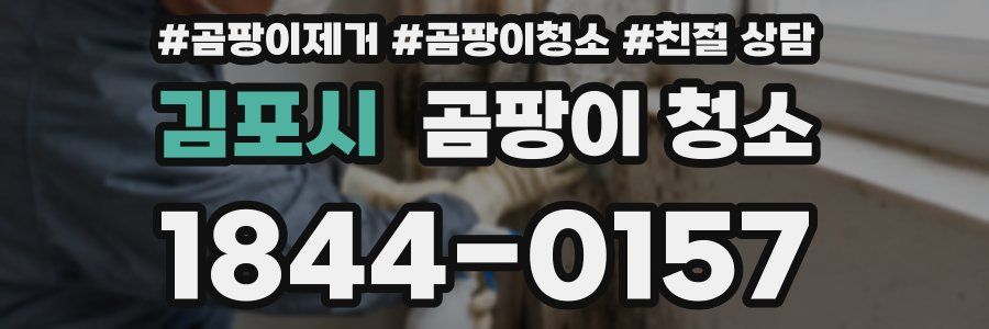 김포시 곰팡이 청소