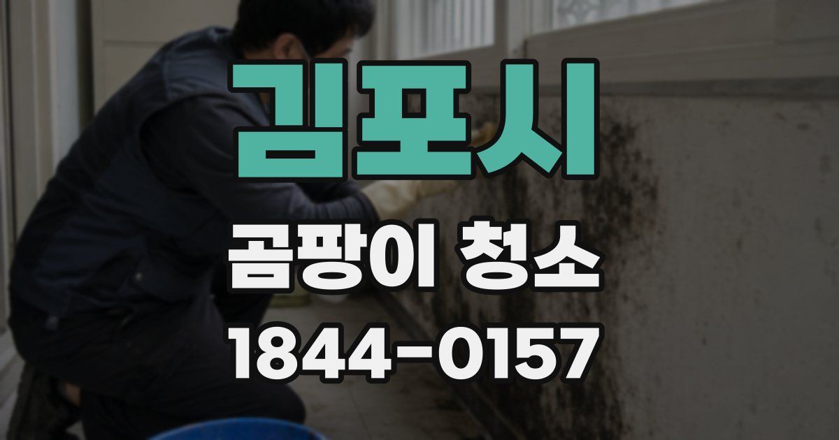 김포시 곰팡이 청소