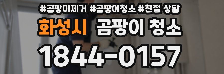화성시 곰팡이 청소