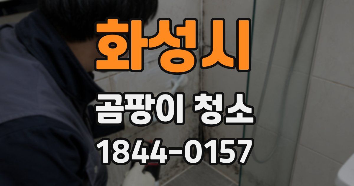 화성시 곰팡이 청소