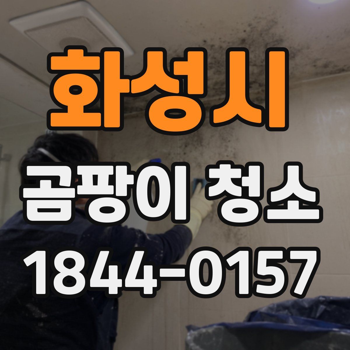 화성시 곰팡이 청소