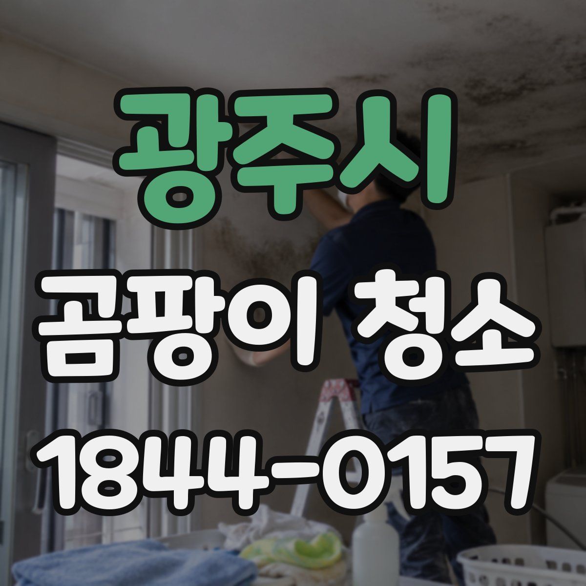 광주시 곰팡이 청소