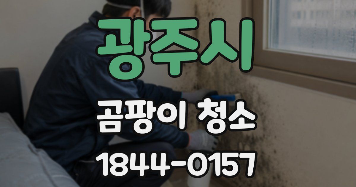 광주시 곰팡이 청소