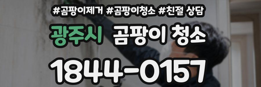 광주시 곰팡이 청소