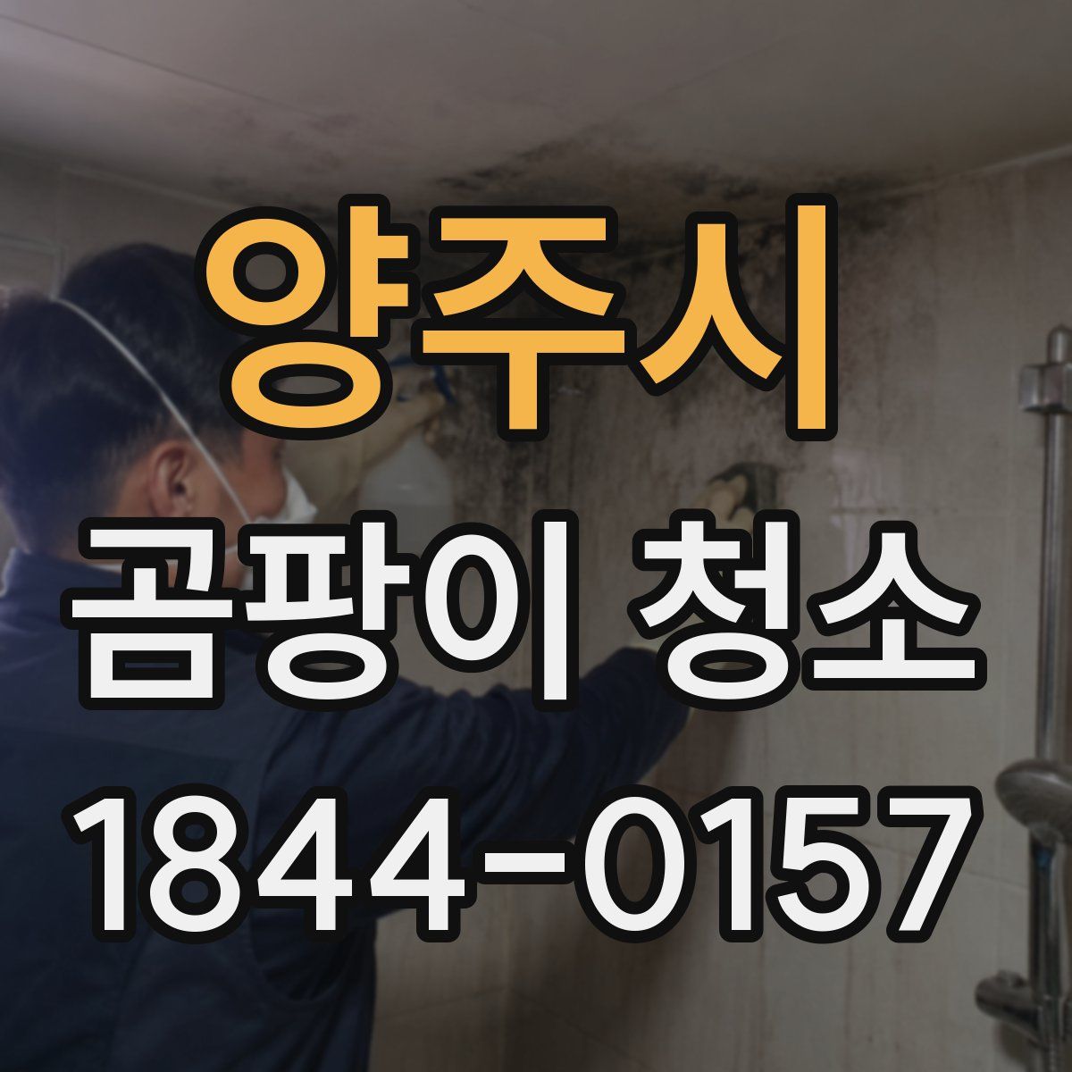 양주시 곰팡이 청소