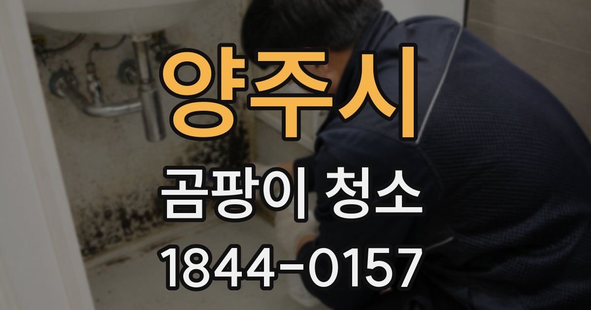 양주시 곰팡이 청소