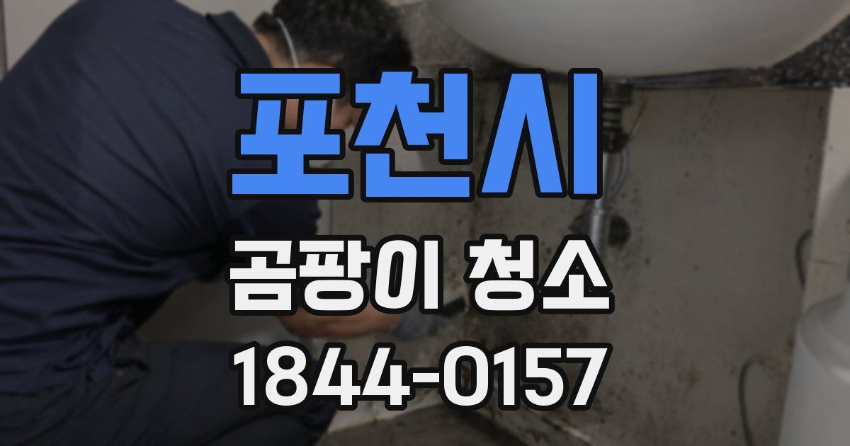포천시 곰팡이 청소