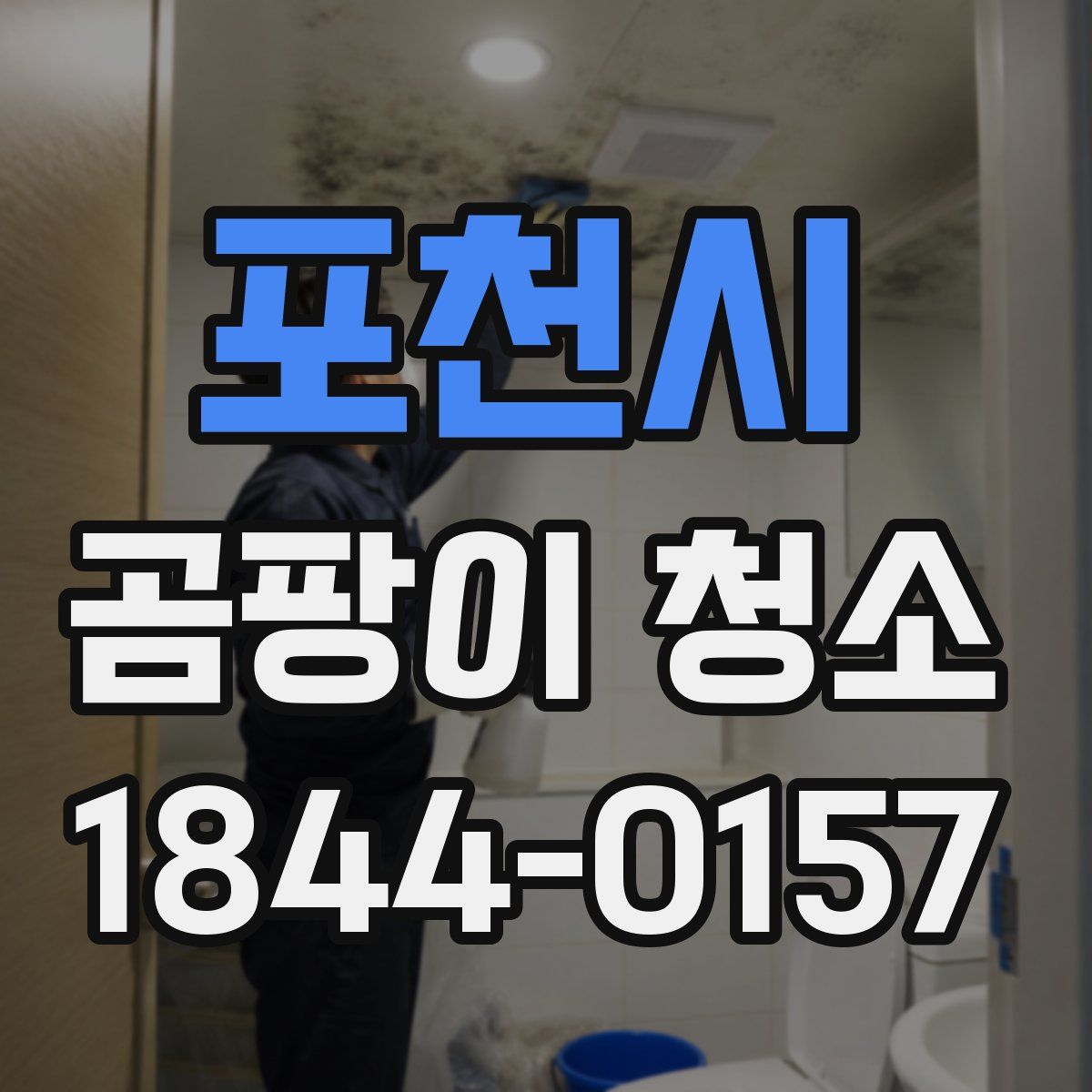 포천시 곰팡이 청소
