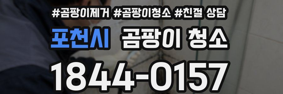 포천시 곰팡이 청소