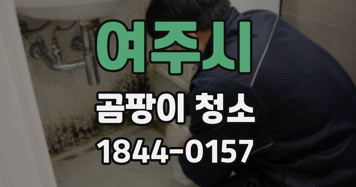 여주시 곰팡이 청소