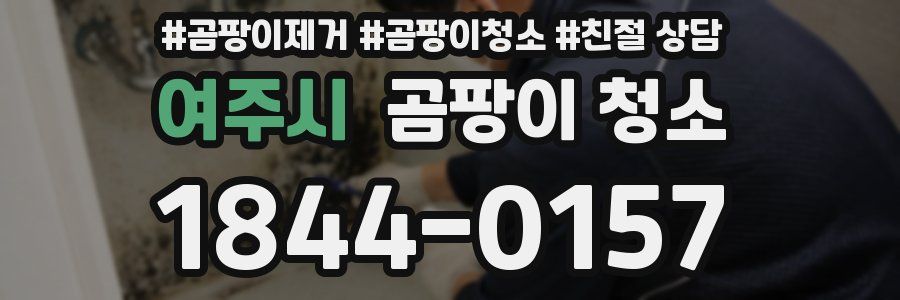 여주시 곰팡이 청소