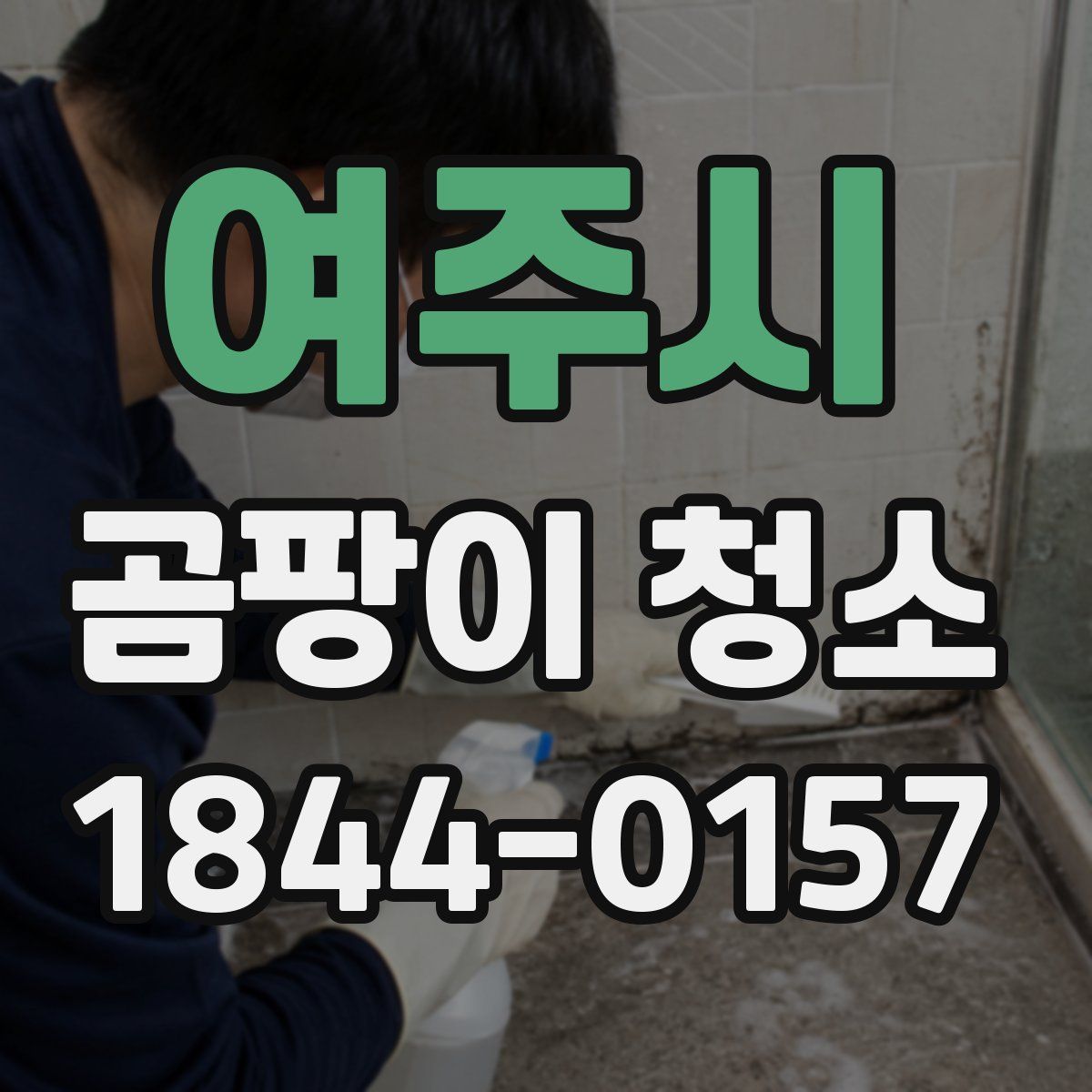 여주시 곰팡이 청소
