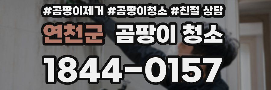 연천군 곰팡이 청소